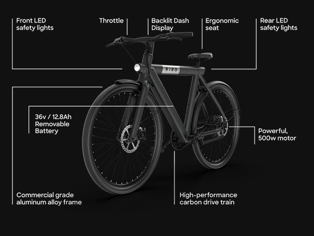 BirdBike eBike (A-Frame/Gray) 